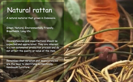 Handmade Imperfections, Natural Perfection: Why Rattan's Flaws Make It Truly Unique