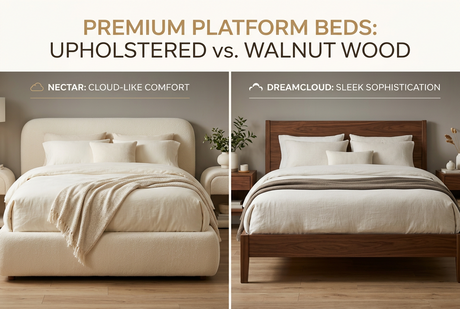 Nectar vs DreamCloud Platform Frame: Mattress Brand Base Compared