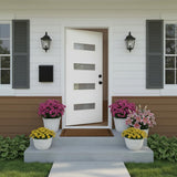 YECHEN 36" x 80" Fiberglass Pre-Hung Front Door, Contemporary Black Entry Door with Frosted Privacy Glass (Left/Right Hand Inswing)