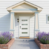 YECHEN 36" x 80" Fiberglass Pre-Hung Front Door, Contemporary Black Entry Door with Frosted Privacy Glass (Left/Right Hand Inswing)