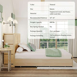 Boho Rattan Queen Beds Frame with Charging Station Headboard